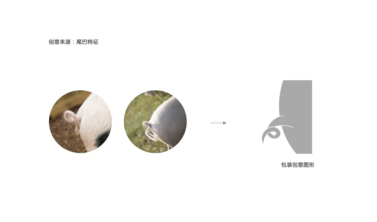 兽药包装设计