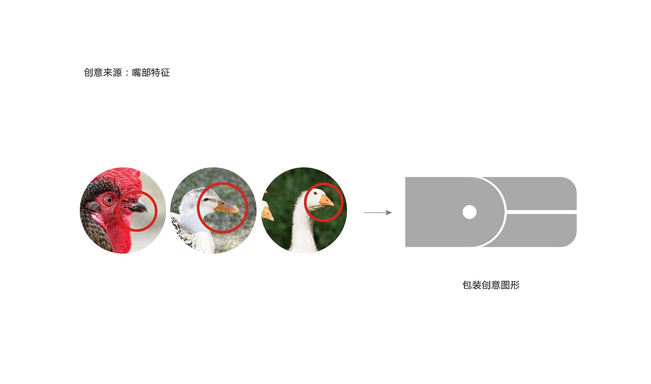 兽药包装设计